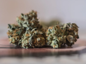 weed